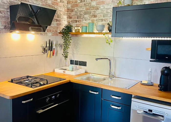 Appartement Spacieux Et Lumineux Ideal Couple Ou Petite Famille Apartment